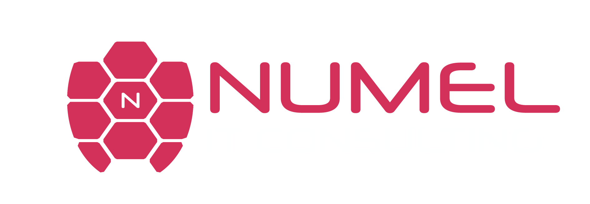 Numel IT Consulting Services